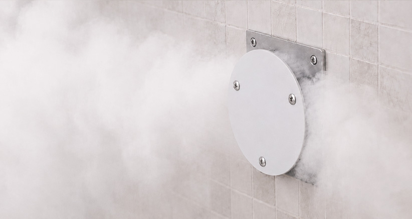 Safe Steam